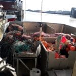 Resized_20190424_170556_8044