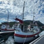 75e6e24133c7bd800d437744318c4e97