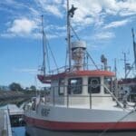 e07842e07cb7c3a5f829b1bc88c758a3