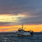 Anny, LK 3977 – Kopi (3)