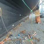 attachment1763563361484