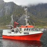 lofotskrei 2609 28